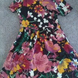 Lularoe Amelia dress